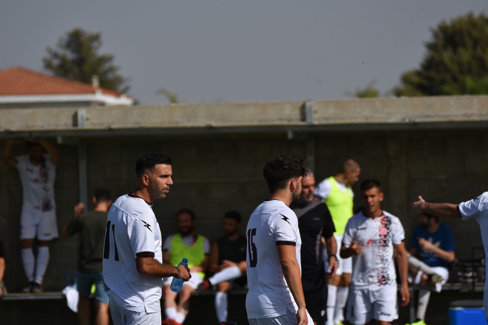 Αναγέννηση Τσερίου